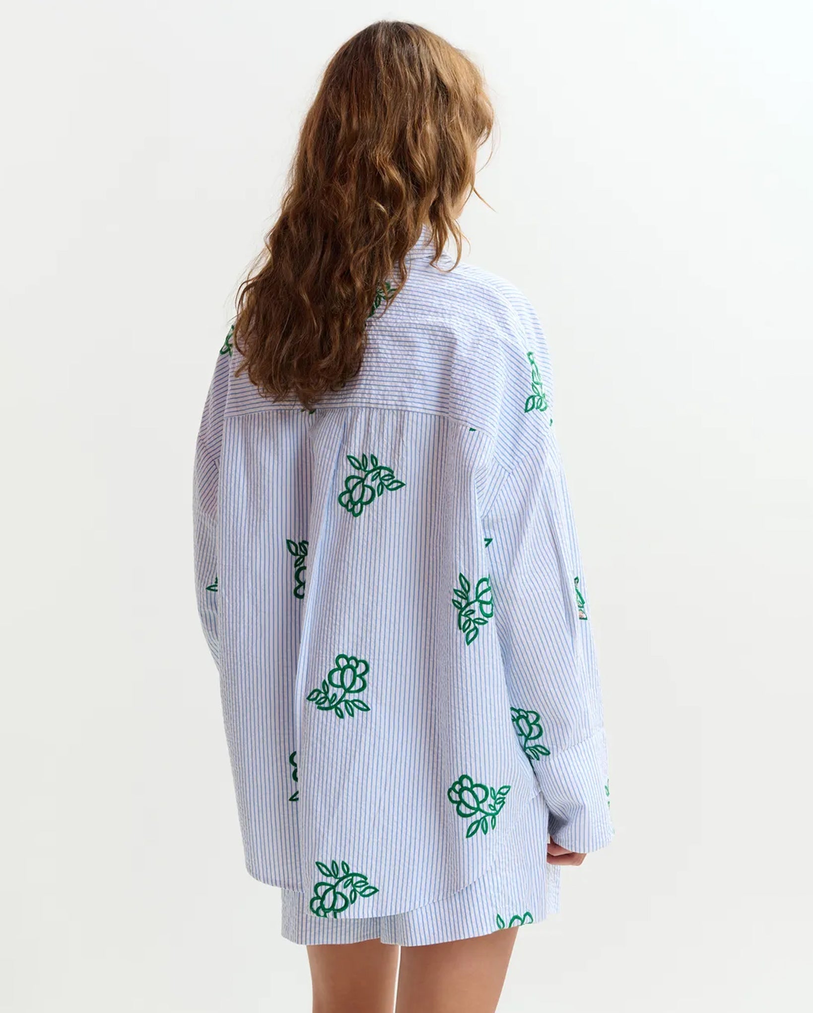 Cotton Shirt with Pinstripes and Embroidered Details (Green/Light Blue/Off-White)