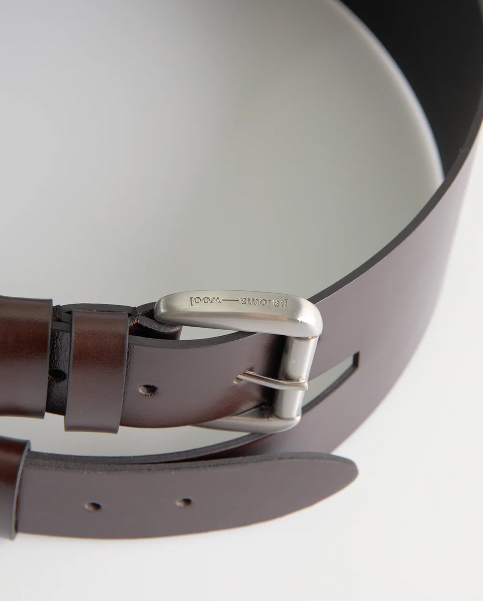 Penelope Wide Leather Belt (Brown)