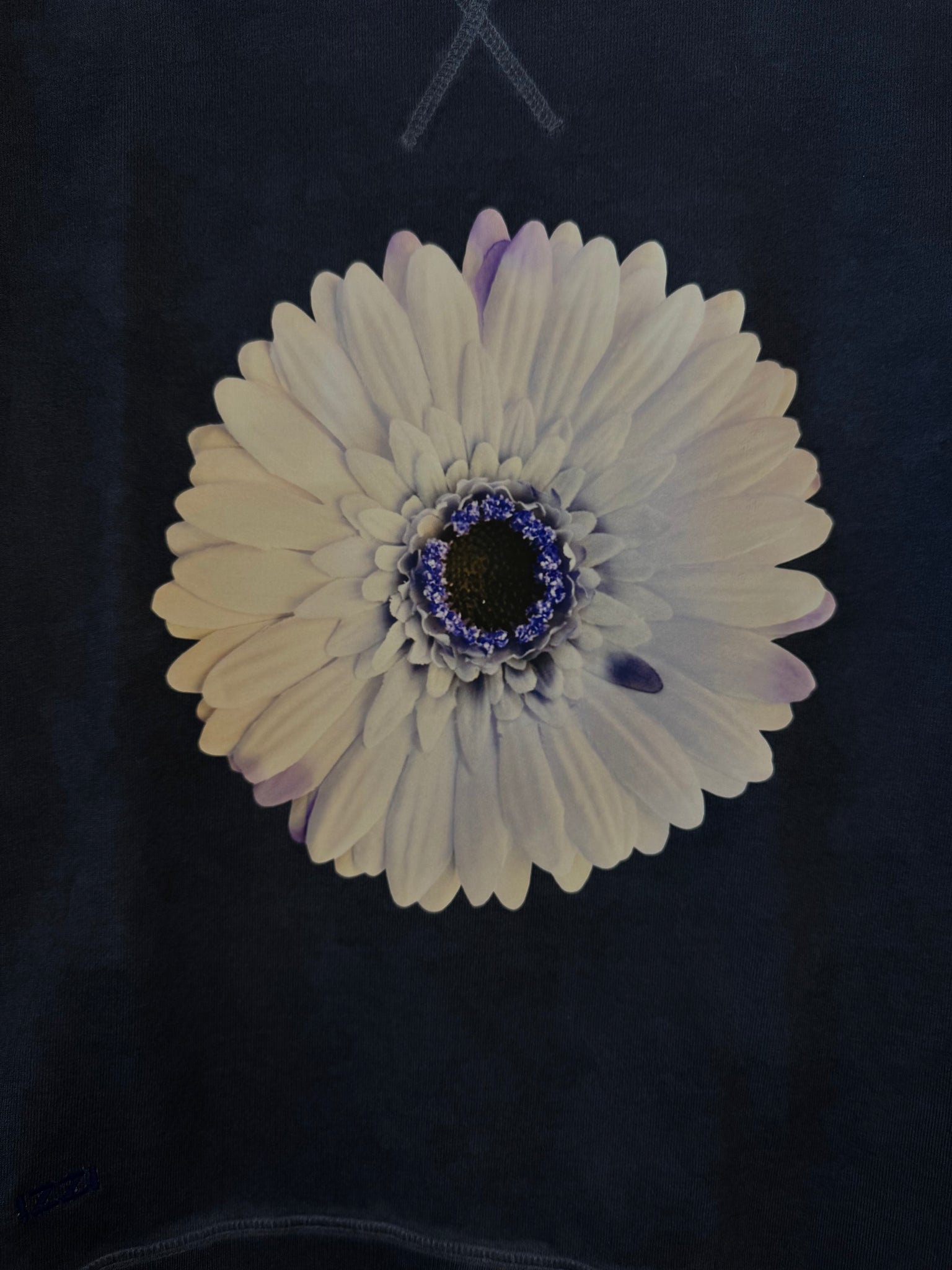 Indigo/Violet botanical